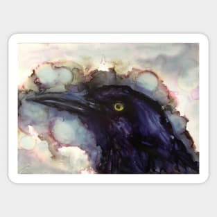 Grumpy Grackle Sticker